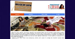 Balca Dry Center - ANKARA web sitesi