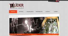 Lider Makina Model - ZMR web sitesi